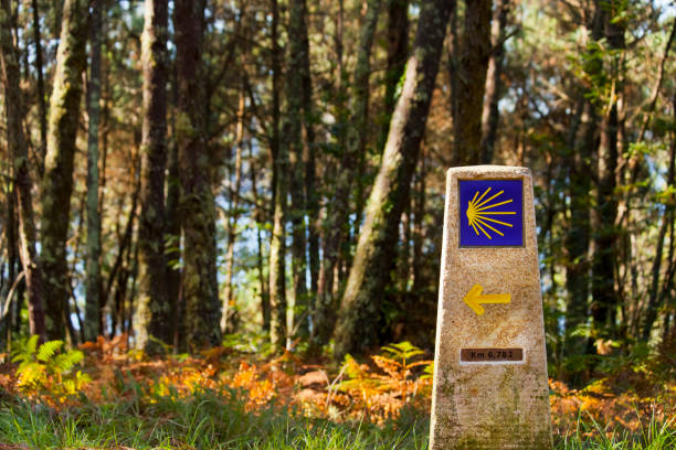 Señal del Camino de Santiago entre árboles